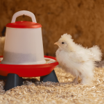 Šėrykla viščiukams su kojomis, reguliuojamo aukščio, 1 kg