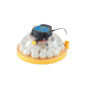 Inkubatorius Brinsea Maxi II ECO