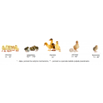 Automatinis Inkubatorius Puisor X2 Extra + knyga dovanų!