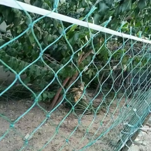 Apsauginis tinklas uogoms apsaugoti